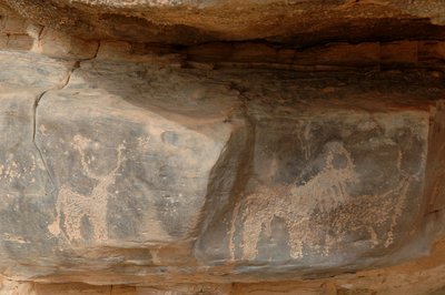 Rock art, Prehistory: Engraving of three cattle in the Uweinat massif, Sudan by Unbekannt