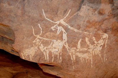 Rock art, Prehistory: Rock painting cattle with big horns in a shelter adorned in the Uweinat massif, Sudan. Period from 8000 to 3000 years BC. Photography by Unbekannt