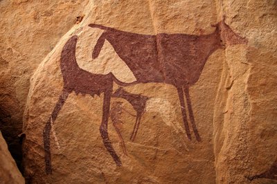 Rock art, Prehistory: Rock painting of a large two-tone cow and its calf in an ornate shelter, in the Uweinat massif, Sudan (Period from 8000 to 3000 years BC). Photography by Unbekannt