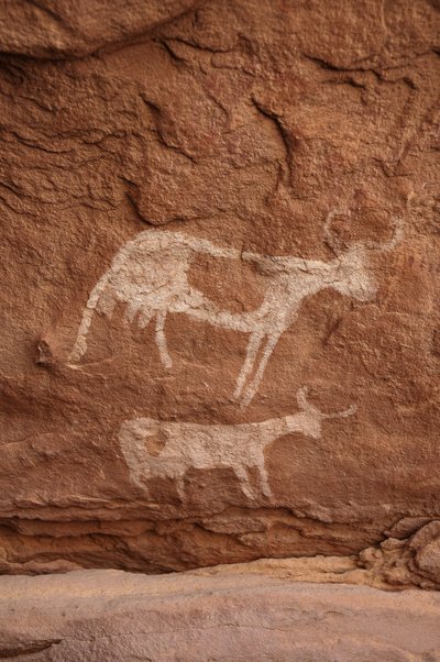 Rock art, Prehistory: Rock painting of two cows with large horns in an ornate shelter, in the Uweinat massif, Sudan (Period from 8000 to 3000 years BC). Photography by Unbekannt
