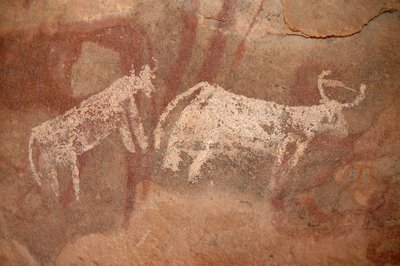 Rock Art, Prehistory: Rock Painting of White and Two-Tone Cattle in an Ornate Shelter, in the Uweinat Massif, Sudan (Karkur-Talh or Karkur Talh). Period from 8000 to 3000 years BC. Photography by Unbekannt