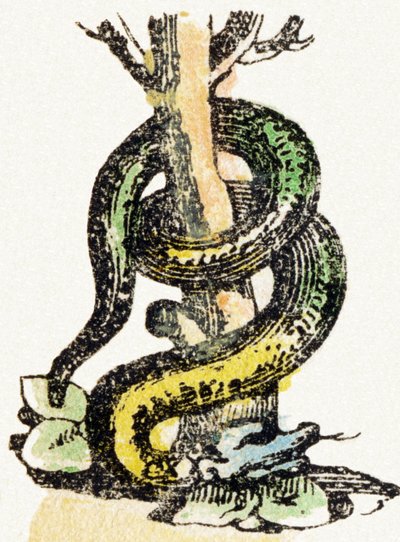 S - Serpent - Child Entertainment Alphabet c.1890 by Unbekannt