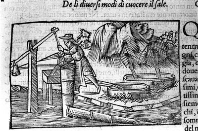 Salt production: cooking. Engraving by Olaus Magnus, Swedish religious and geographer, 
