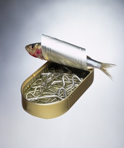 Sardine Can Inversion by Unbekannter Künstler