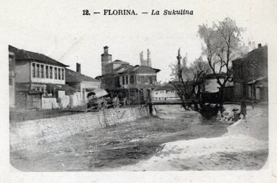 Florina: View of the Sukulina by William M. Timlin
