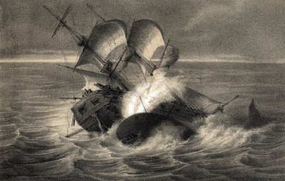 Shipwreck of the Whaling Ship Essex on November 20 by Unbekannter Künstler