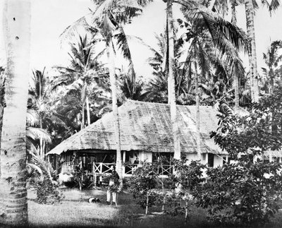 Singapore: A Private Bungalow Surrounded By Palm Trees, Singapore, c1875 by Unbekannt
