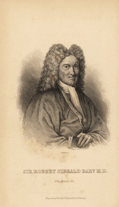 Sir Robert Sibbald, Scottish Naturalist and Antiquarian by Unbekannt