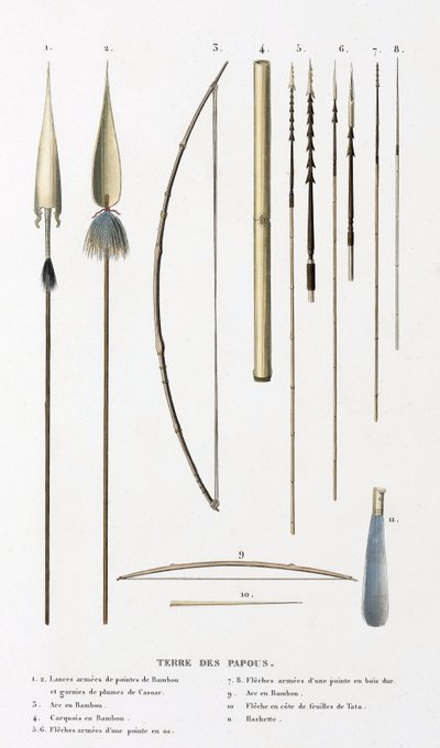 Spears, bows and arrows from the Land of the Papuans by Unbekannt