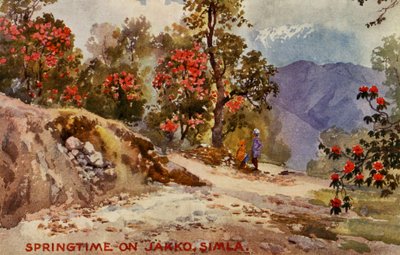 Springtime on Jahko, Simla, India by Unbekannter Künstler