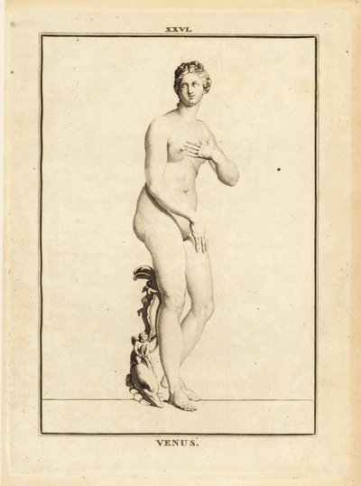 Statue of Venus, Roman Goddess of Love, Beauty, Sex and Fertility by Unbekannt