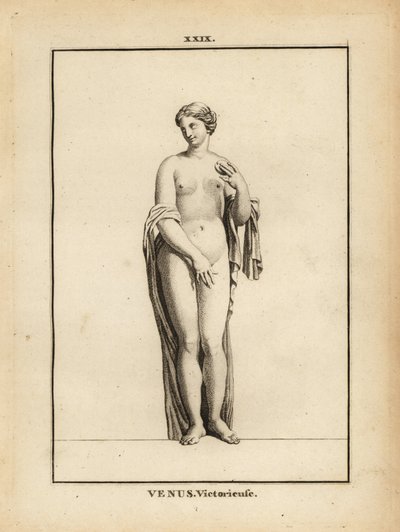 Statue of Venus Victrix, Roman Goddess of Love, Beauty, Sex and Fertility by Unbekannt