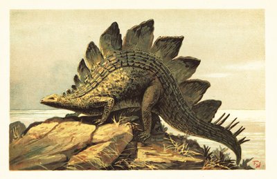 Stegosaurus by Unbekannter Künstler