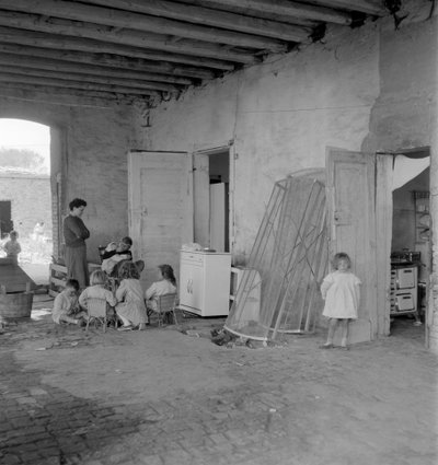 The Sacca San Biagio in Giudecca (Venice): Island of the Lagoon Where the Landfills of Venice Are Accumulated, Inhabitants - 1965 by Unbekannt