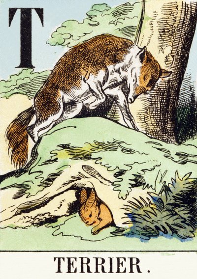 T: Terrier - The Hunting Alphabet, c.1890 by Unbekannt