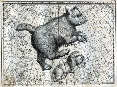 The Boreal Constellations: the Great Bear and the Little Lion. Engraving from Camille Flammarion