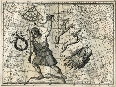 The Bower, the Boreal Crown, the hunting dogs, Berenice
