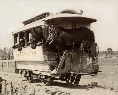 The Cherrelyn Horse Car, Denver, Colorado by Nicolas Liez