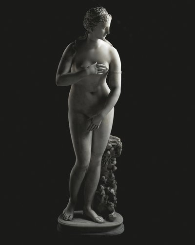 The Jenkins Venus by Unbekannt
