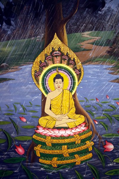 The Life of the Buddha, Siddhartha Gautama by Unbekannter Künstler