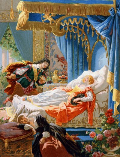 The Sleeping Beauty and Charming Prince by Unbekannter Künstler