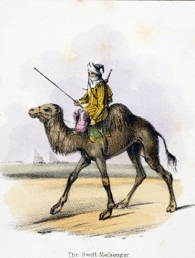 The Swift Messenger, c 1845 by Unbekannter Künstler