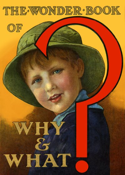The Wonder Book of Why and What by Unbekannt