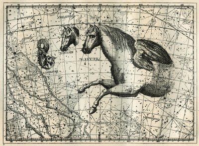 The Constellation of Pegasus, Drawn Like the Anterior Half of a Horse with a Pair of Wings, the Little Horse, a Horse