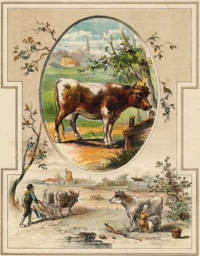 The cow. Engraving in "Mon premier Grand Alphabet". Bernardin-Bechet Edition, Paris, circa 1890. Illustrations by A. des Lilleuls. by Unbekannt