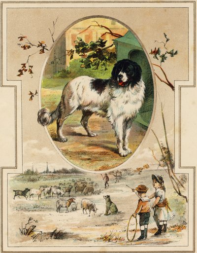 The dog. Engraving in "Mon premier Grand Alphabet". Bernardin-Bechet Edition, Paris, circa 1890. Illustrations by A. des Lilleuls. by Unbekannt