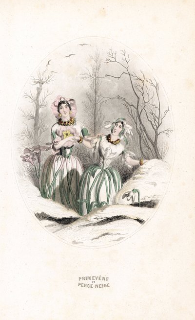The fairies pierce snow and primrose in a snowy landscape - Etching by Charles Geoffroy, based on an illustration by Jean Ignace Isidore Gerard for Les fleurs animees by Unbekannter Künstler