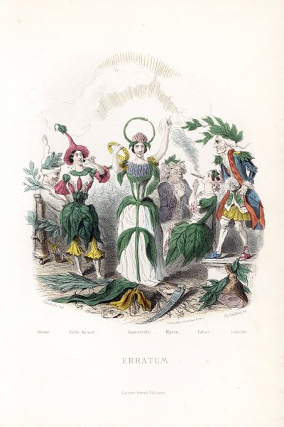 The flower fairies, that of the olive, sleeping in a cotton cap, the night beauty, the immortelle with a crown and a snake aureole, the myrtle in an old man, the tobacco smoking the cigar and the laurel in an old musketeer - Etching by Charles Geoffroy by Unbekannter Künstler