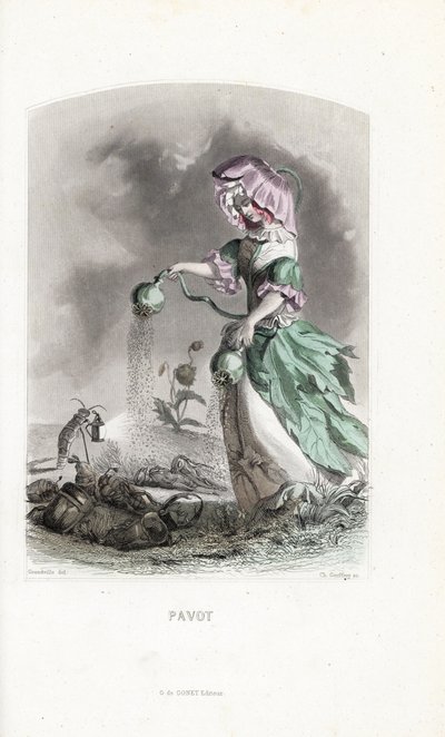 The poppy fairy sprinkles opium pods on beetles and locusts - Etching by Charles Geoffroy, based on an illustration by Jean Ignace Isidore Gerard for Les fleurs animees by Unbekannter Künstler