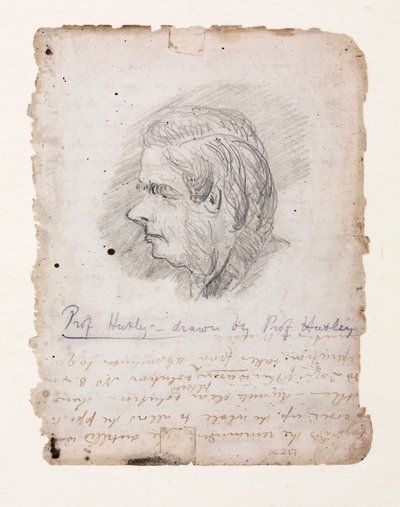 Thomas Henry Huxley, English biologist, mid-late 19th century by Unbekannt