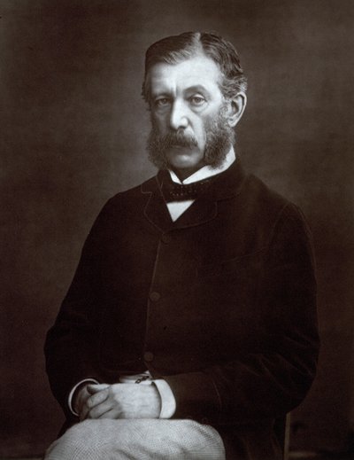 Three-quarter-length portrait of the Scottish High State Official Sir James Fergusson, Governor of Bombay by Unbekannter Künstler