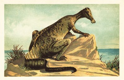 Trachodon Mirabilis by Unbekannter Künstler