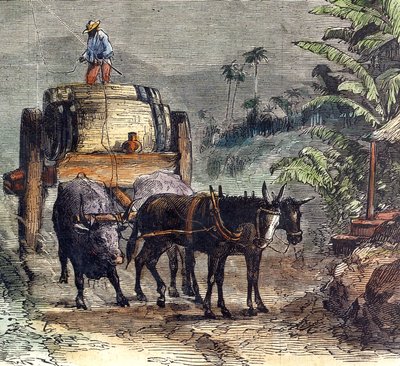 Transport of Rum by Unbekannter Künstler