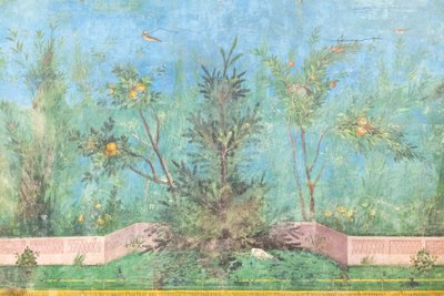 Triclinium of the house of Livia, fresco, 20 - 10 BC, national museum of Rome, Rome, Italy by Unbekannter Künstler