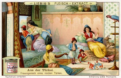 Turkey: Bower of the wife of a rich man by Unbekannter Künstler