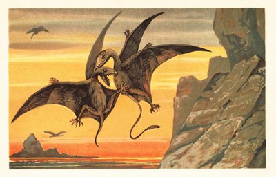 Two Pterodactyls Fighting in Mid Flight Against a Crimson Sky by Unbekannter Künstler
