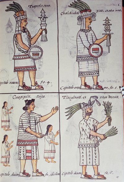 Tzapotlatena, Chalchiuhtlatonal, Cioapipitli and Tliltecuhtli, Florentine Codex, General History of the Things of New Spain, Aztec by William M. Timlin