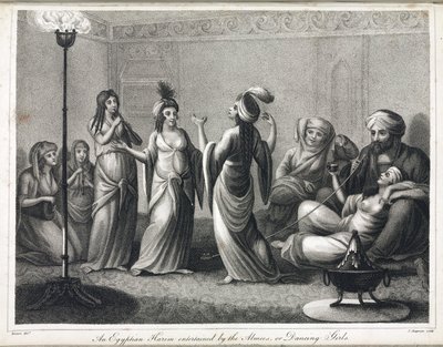 An Egyptian harem, animated by dancers and almees by Unbekannt