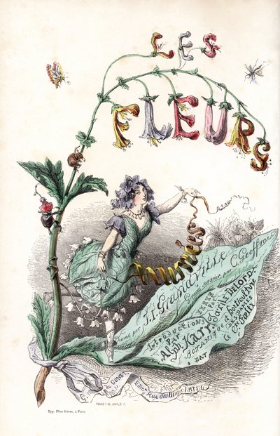 A flower fairy sits on a leaf and holds a ribbon (title page) - Etching by Charles Geoffroy, after an illustration by Jean Ignace Isidore Gerard for Les fleurs animees by Unbekannter Künstler