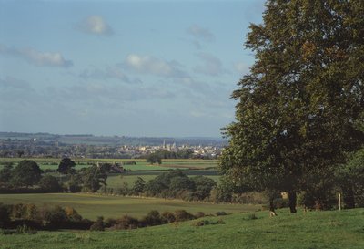 View of Oxford from Boar