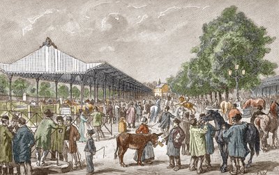 View of the Horse Market in the 5th District of Paris by Unbekannter Künstler