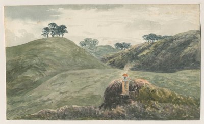 Walton-on-the-Hill - Cannock Chase: Watercolour Painting, 19th Century by Unbekannt