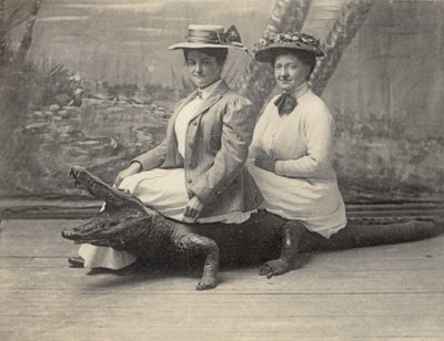 Women sitting on a stuffed alligator, c.1905 by Unbekannter Künstler