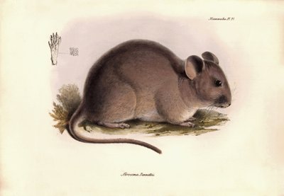 Zoology: The 