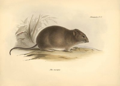 Zoology: the 