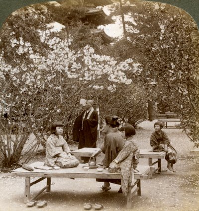 A Family Enjoying a Picnic under the Cherry Blossoms, Omuro Gosho, Kyoto, Japan by Underwood and Underwood